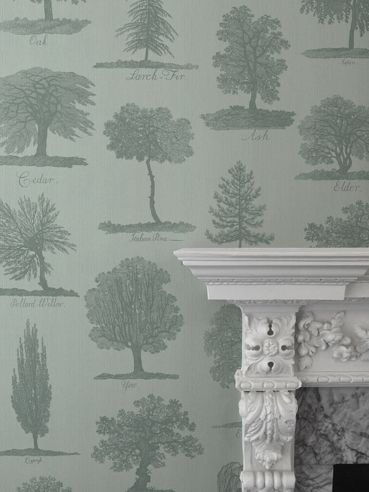 Arboreta 'Sage' Wallpaper