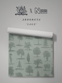 Arboreta Wallpaper Sample