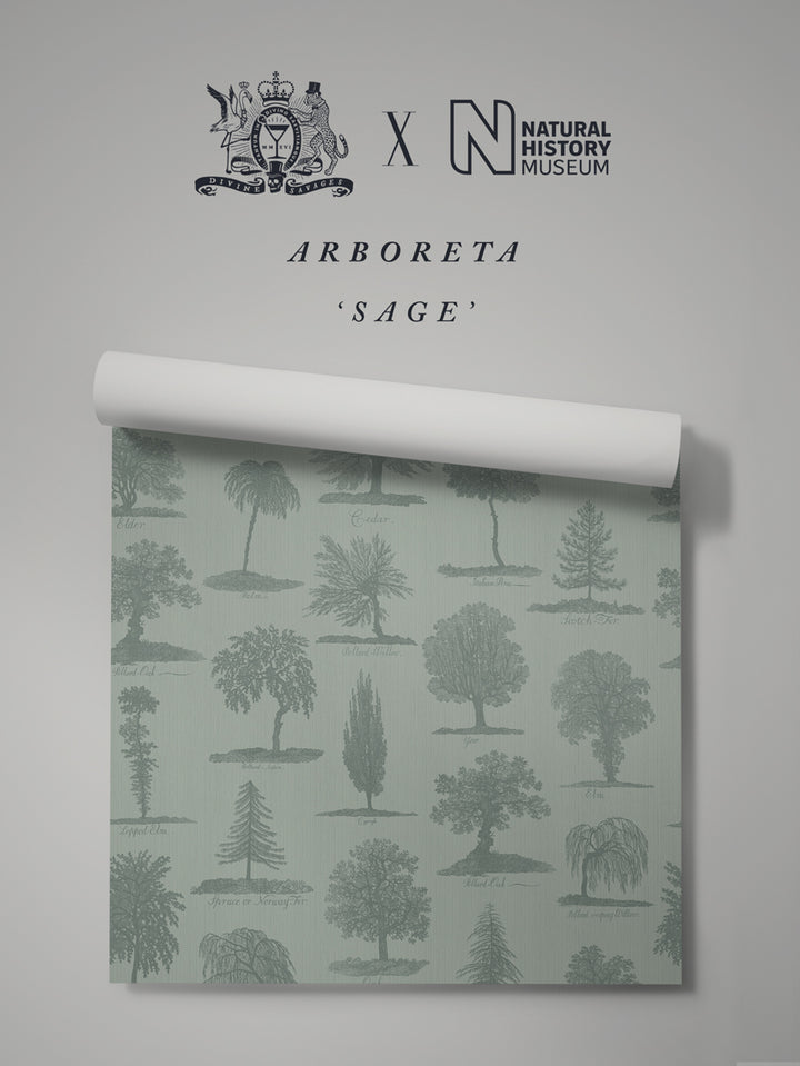Arboreta Wallpaper Sample