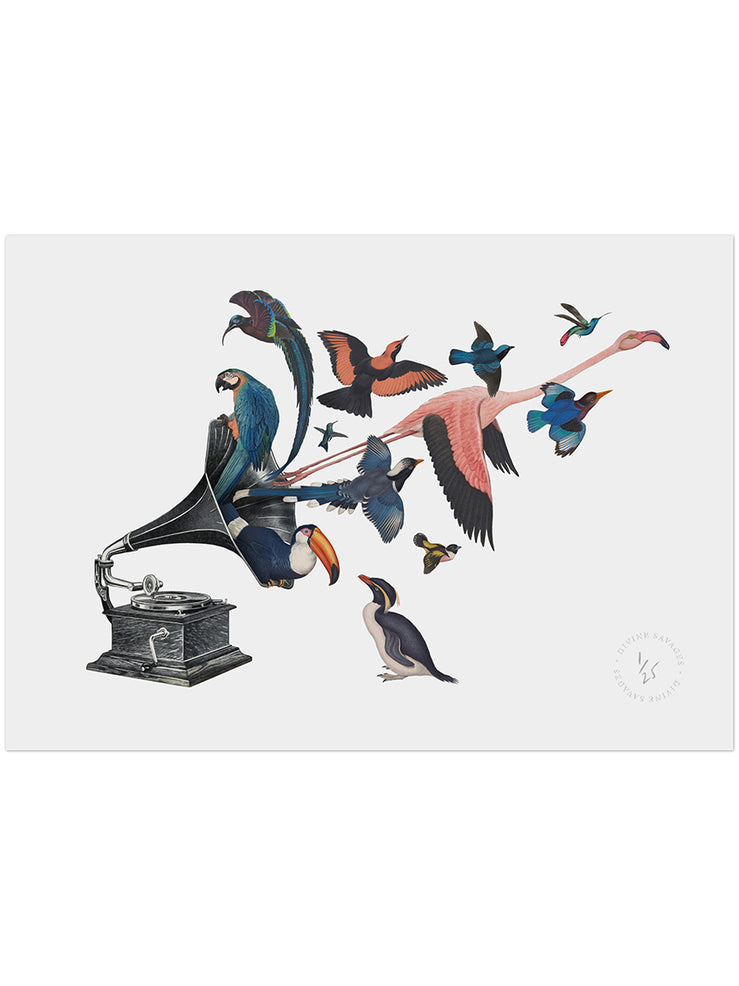 Bird Song (with Penguin) Limited Edition Print