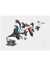 Load image into Gallery viewer, Bird Song Limited Edition Print