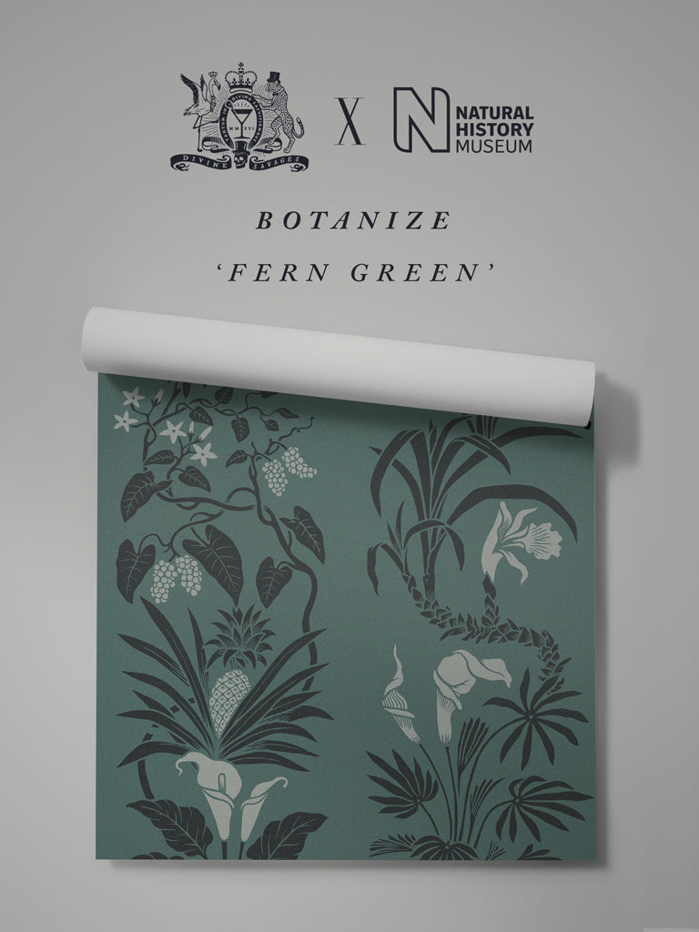 Botanize 'Fern Green' Wallpaper Sample