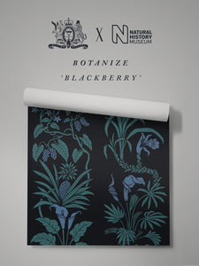 Botanize 'Blackberry' Wallpaper