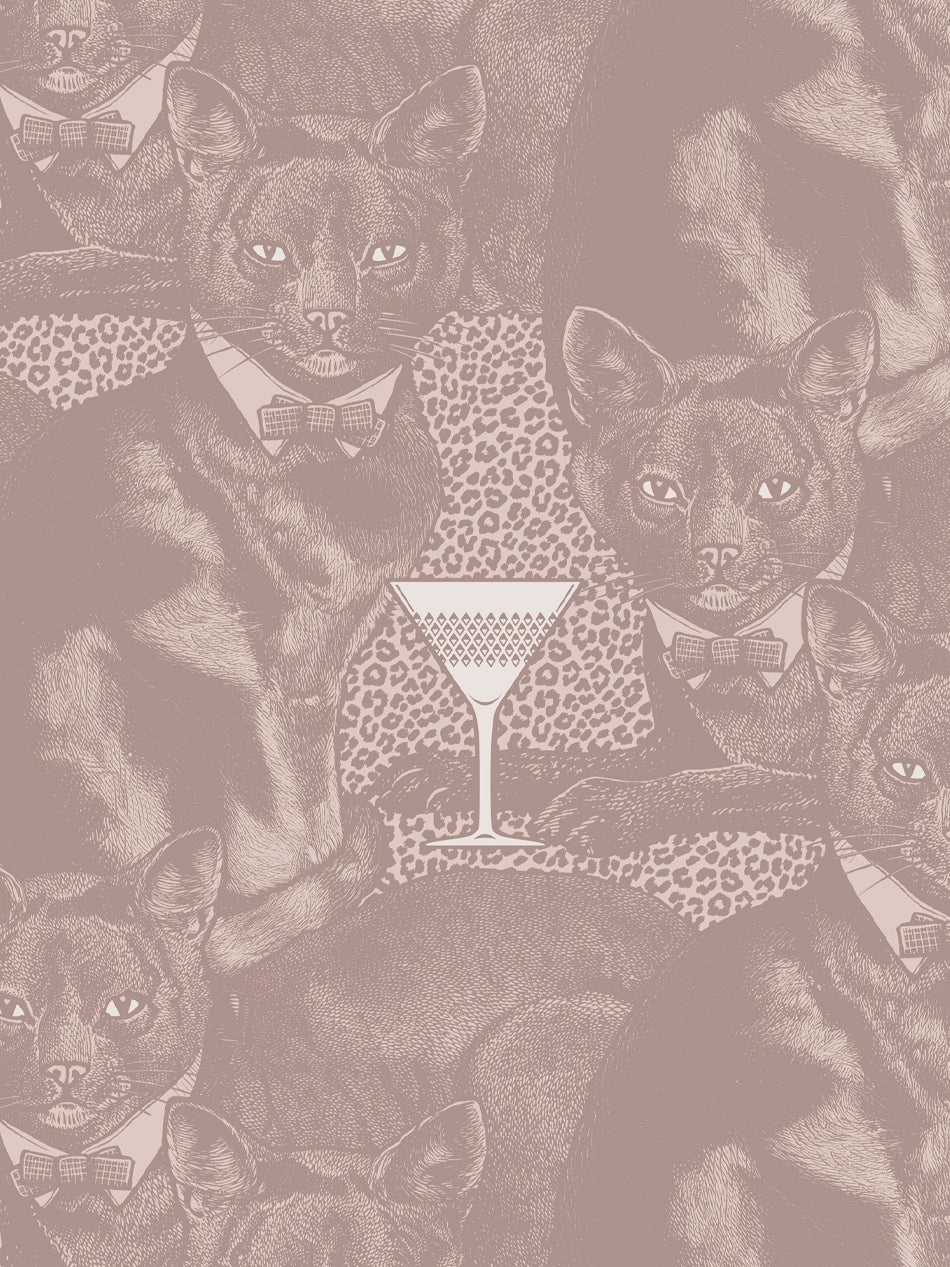 Cat-titude Wallpaper