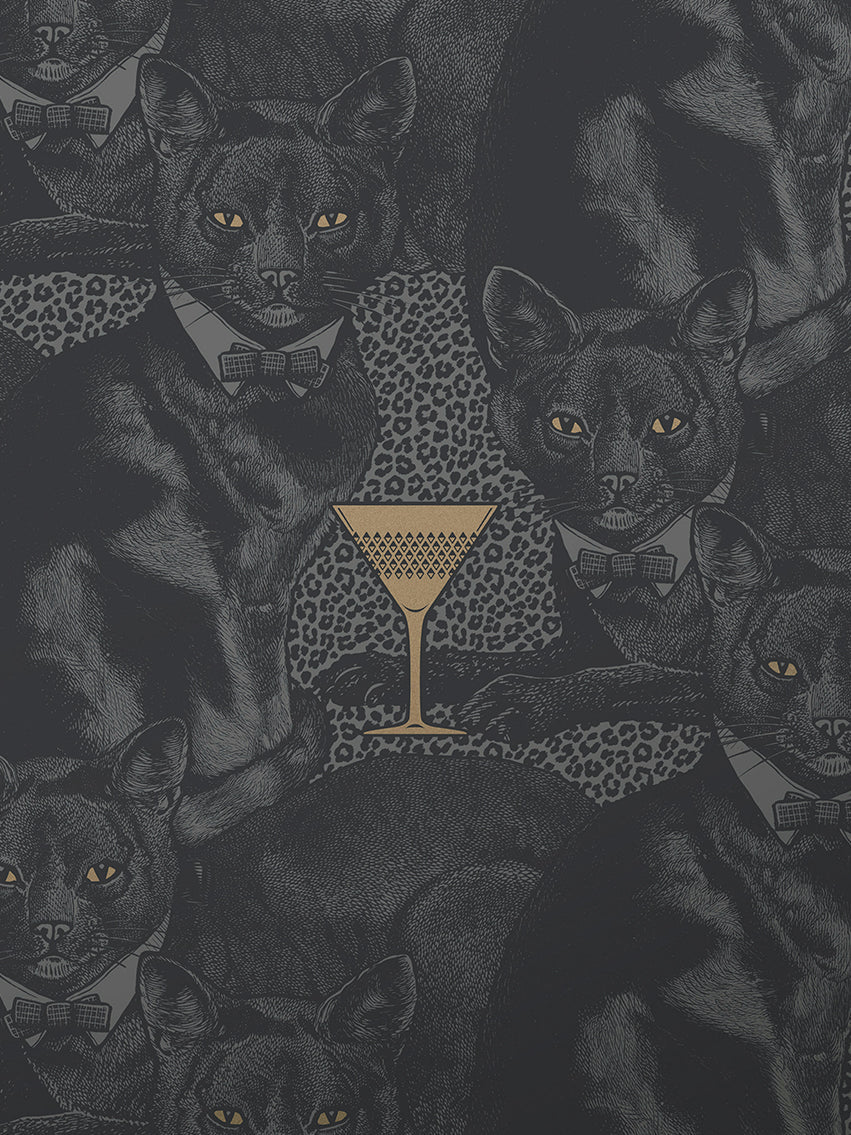 Cat-titude Wallpaper