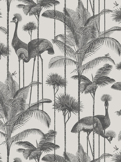 Crane Fonda Wallpaper