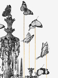 Crystal Wings Limited Edition Print