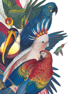 Divine Birds Limited Edition Print