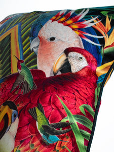 Sample Sale: Divine Plumage Velvet Cushion