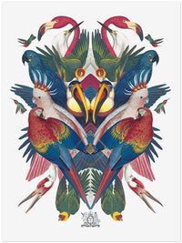 Divine Birds Limited Edition Print