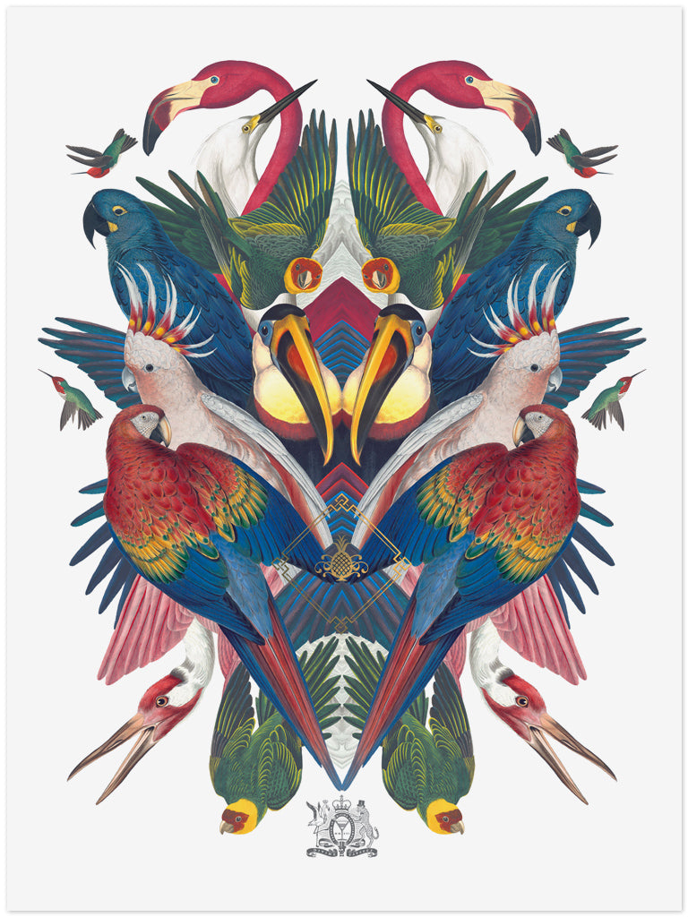 Divine Birds Limited Edition Print