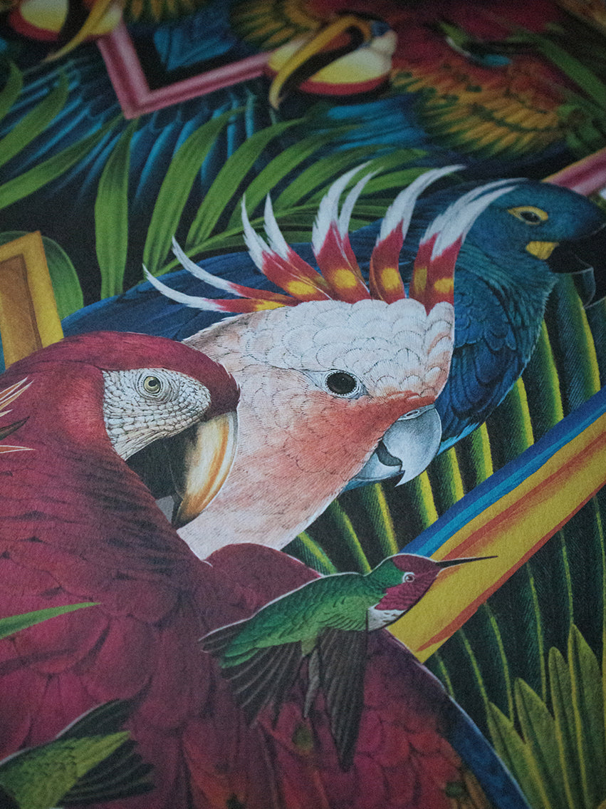 Divine Plumage Wallpaper Sample
