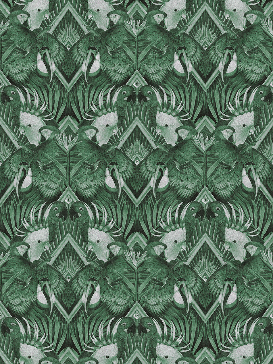 Divine Plumage Wallpaper Sample