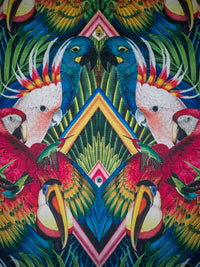 Divine Plumage 'Fiesta' Recycled Velvet