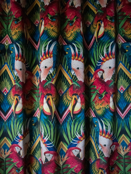 Divine Plumage 'Fiesta' Recycled Velvet