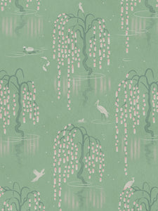 Sage Green Aesthetic Wallpapers  Top Free Sage Green Aesthetic Backgrounds   WallpaperAccess