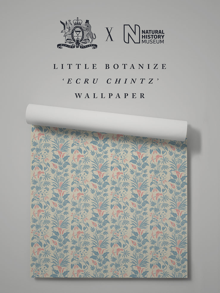 Little Botanize 'Ecru Chintz' Wallpaper Sample