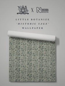 Little Botanize 'Historic Sage' Wallpaper