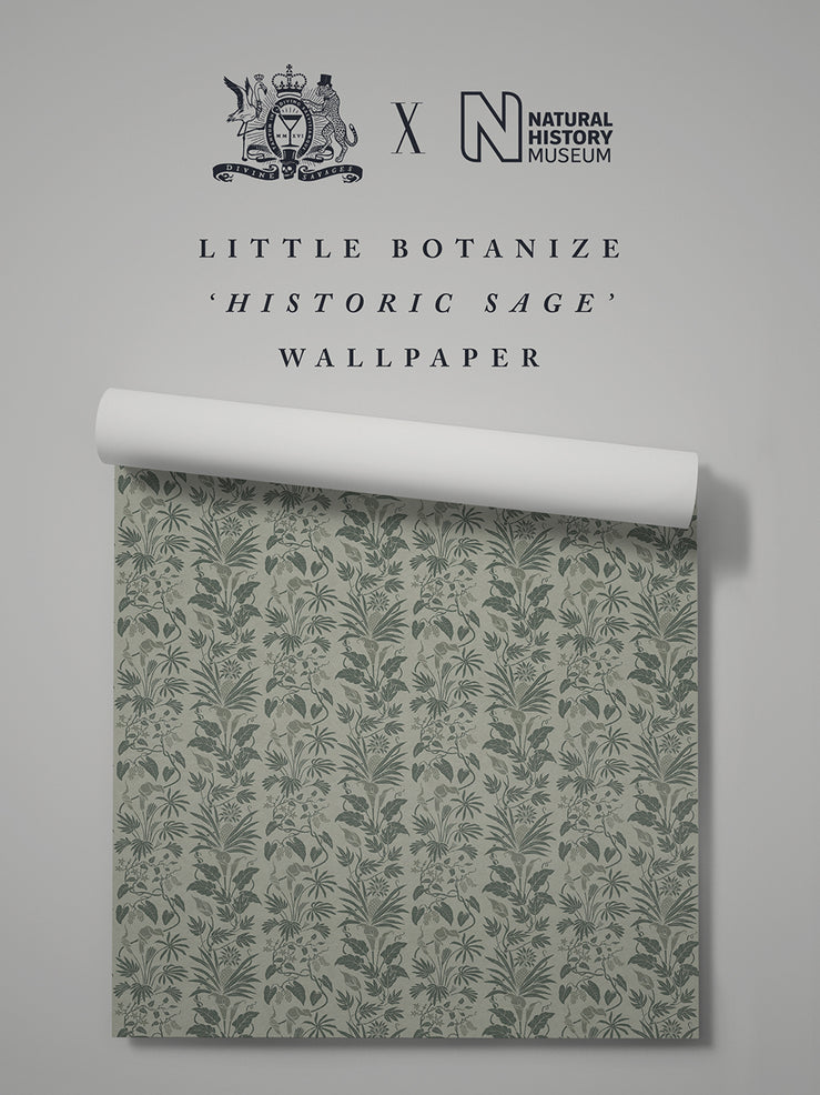 Little Botanize 'Historic Sage' Wallpaper Sample