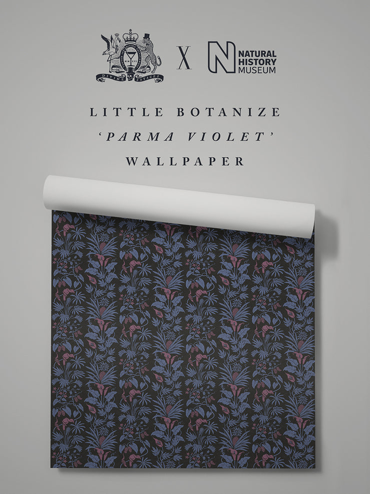 Little Botanize 'Parma Violet' Wallpaper Sample
