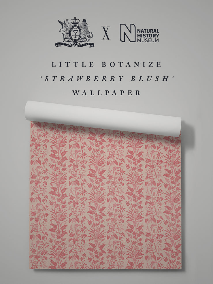 Little Botanize 'Strawberry Blush' Wallpaper Sample
