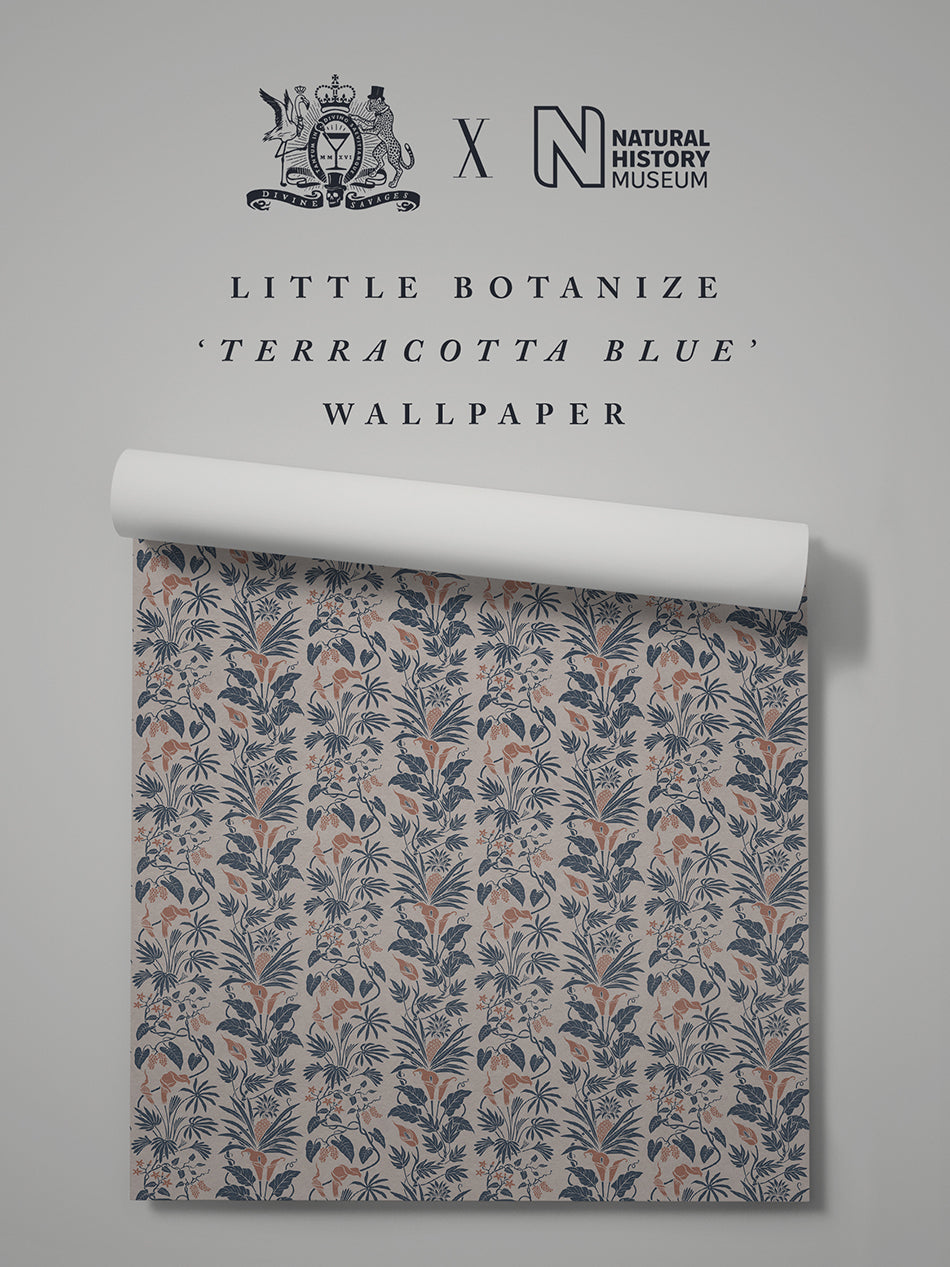 Little Botanize 'Terracotta Blue' Wallpaper Sample