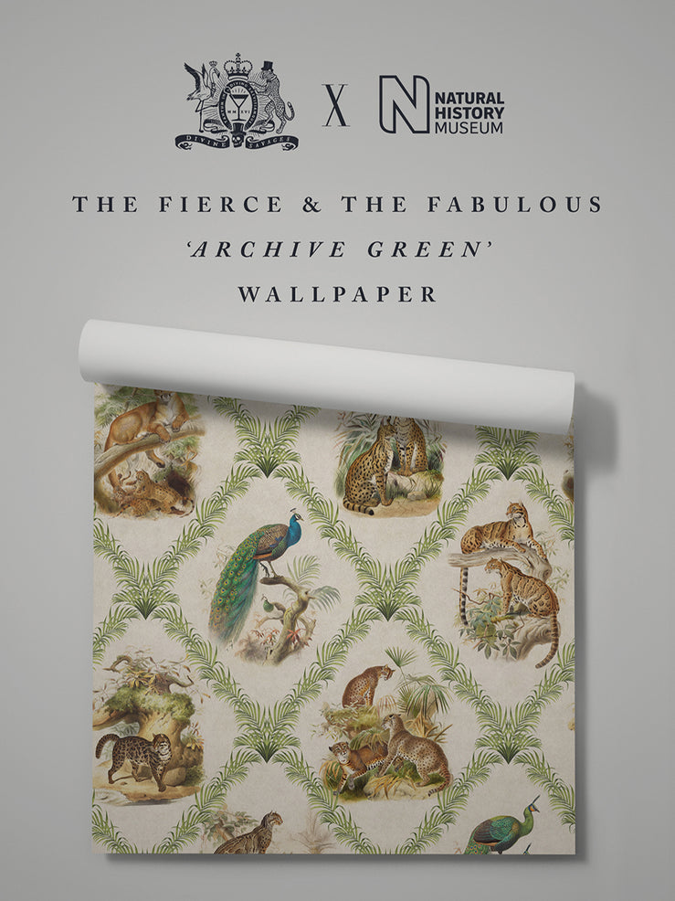 The Fierce & The Fabulous 'Archive Green' Wallpaper Sample