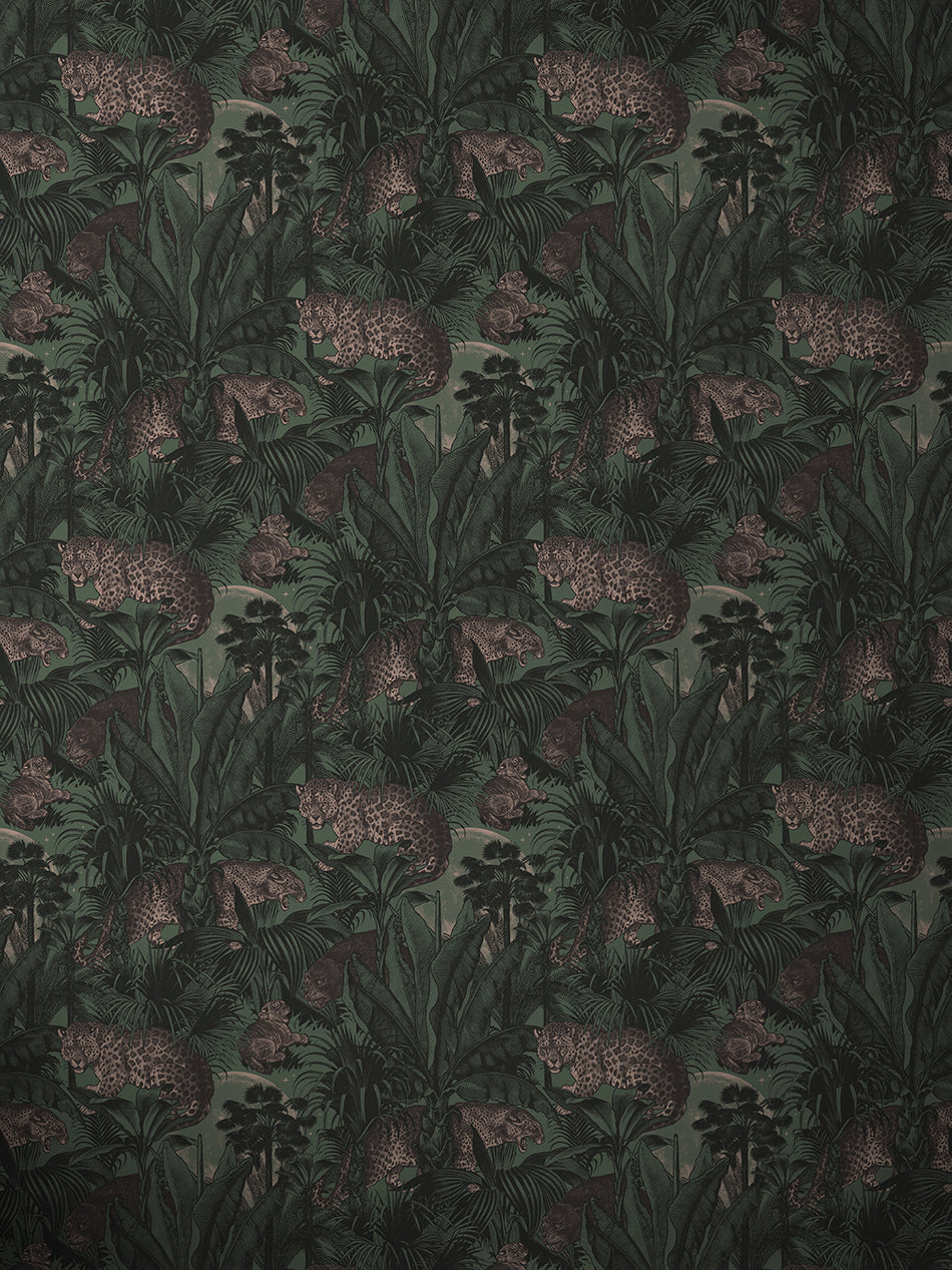 Faunacation Wallpaper Sample