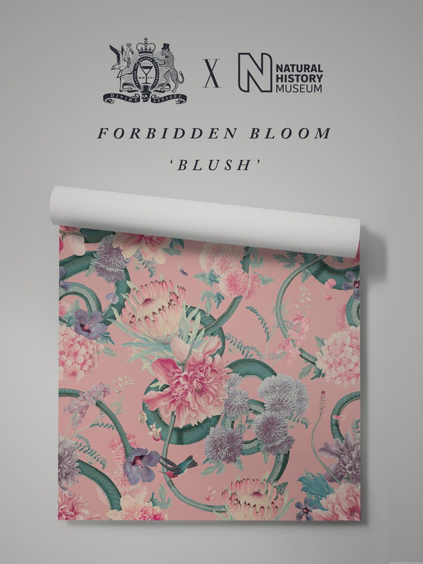 Forbidden Bloom 'Blush' Wallpaper Sample