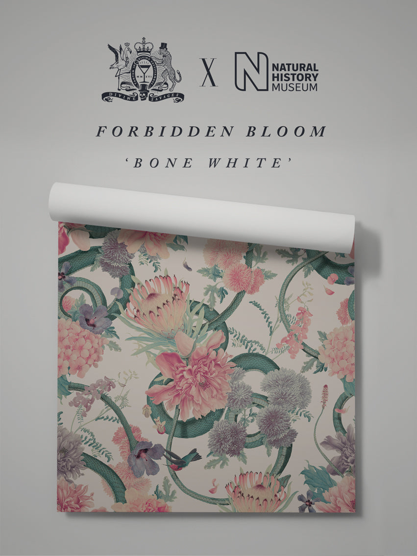 Forbidden Bloom 'Bone White' Wallpaper Sample