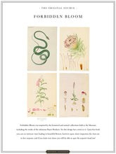Load image into Gallery viewer, Forbidden Bloom &#39;Black&#39; Wallpaper Sample