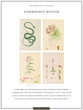 Load image into Gallery viewer, Forbidden Bloom &#39;Bone White&#39; Wallpaper