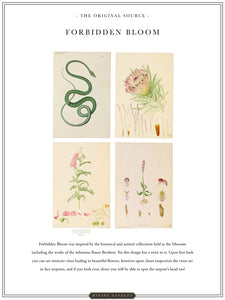 Forbidden Bloom 'Blush' Wallpaper Sample