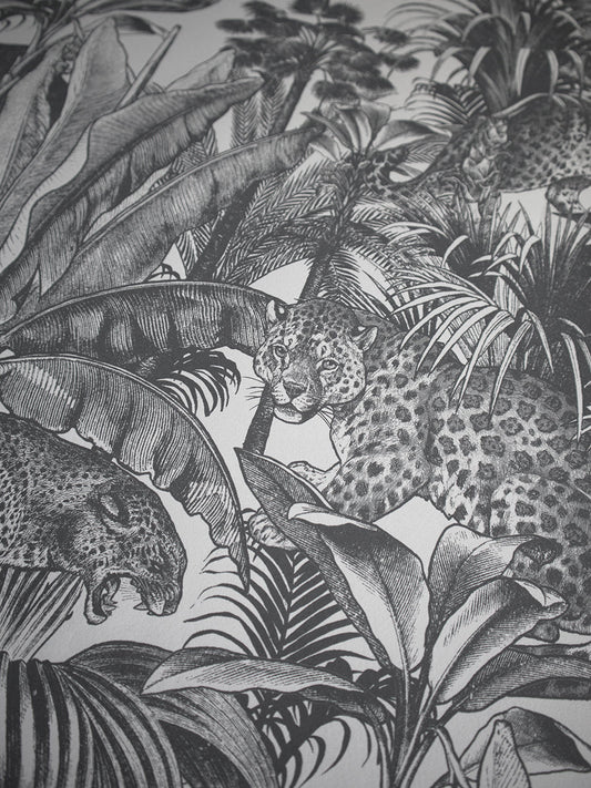 Faunacation Wallpaper