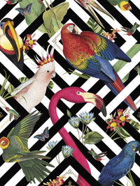 Geometric Aviary Wallpaper Sample