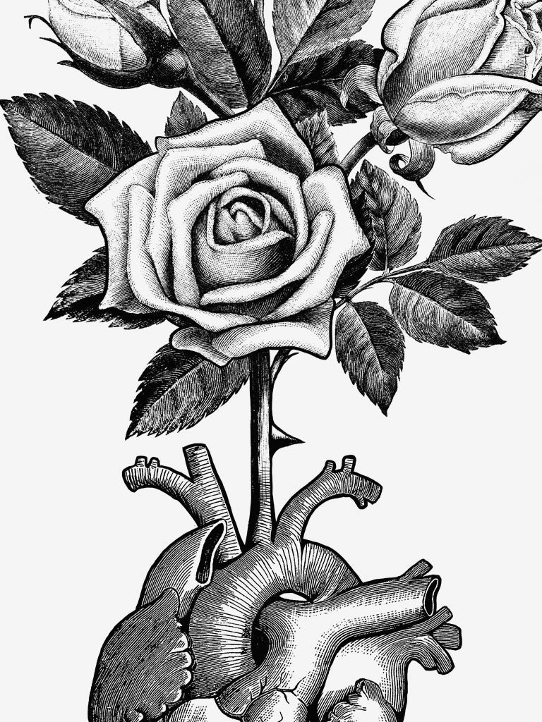 Heart Bloom Limited Edition Print
