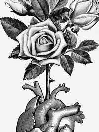 Heart Bloom Limited Edition Print