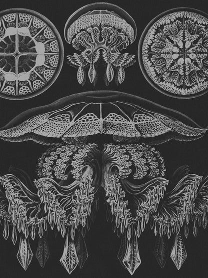 Seanic Depths Shower Curtain