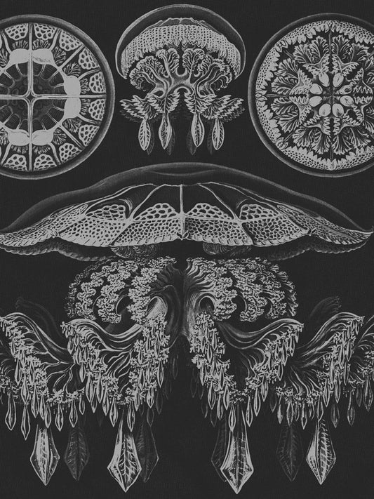 Seanic Depths Shower Curtain