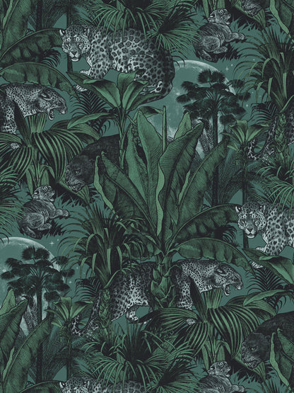 Faunacation Wallpaper Sample