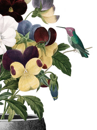 LoBotanist Limited Edition Print