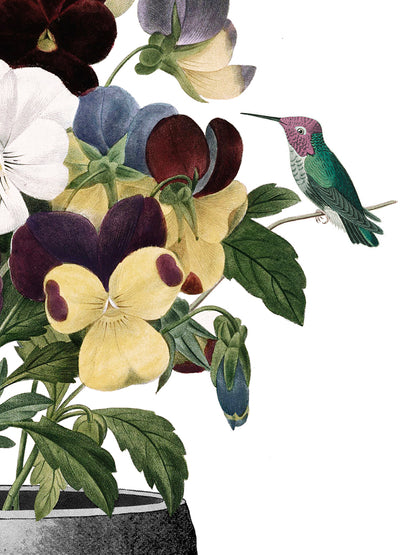 LoBotanist Limited Edition Print