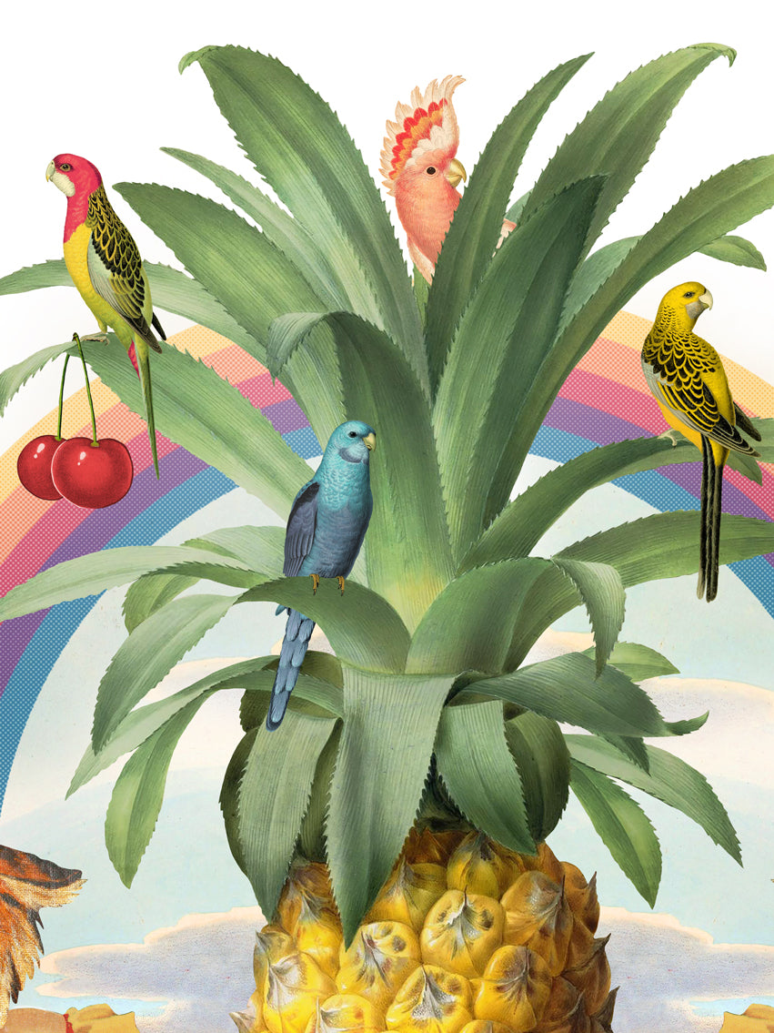 Mai Tai-gers Limited Edition Print