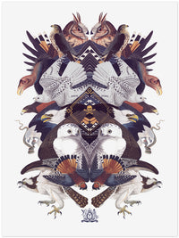 Savage Birds Limited Edition Print
