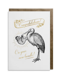 Special Delivery Greeting Card